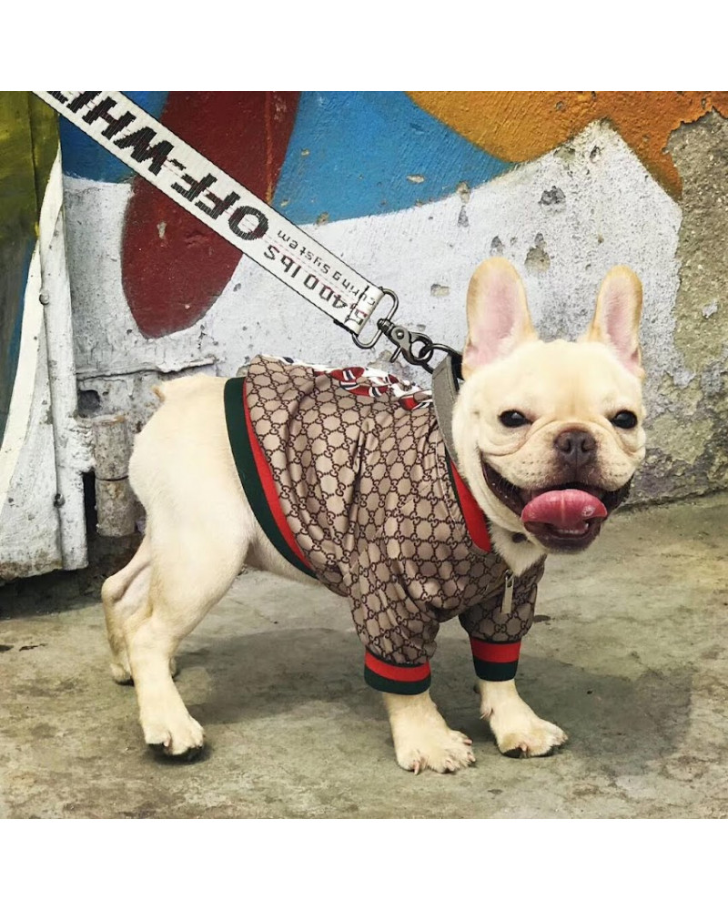 Pupreme x Gucci Inspired Dog Bomber Jacket with Snake Print